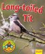 Wildlife Watchers: Long-Tailed Tit 2017 (Paperback): Ruth Owen