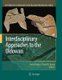 Interdisciplinary Approaches to the Oldowan (Paperback, Softcover reprint of hardcover 1st ed. 2009): Erella Hovers, David R....