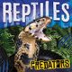 Reptiles (Hardcover): Mignonne Gunasekara