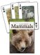 Mammals of the Northwest Playing Cards (Cards): Stan Tekiela