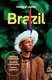 Lonely Planet Brazil (Travel Guide) (Paperback): Trent Holden, Joel Balsam, Ann Babe