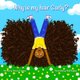 Why is my hair curly? (Paperback): Simone Thomas
