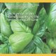 Backyard/Urban Homesteading Is the New Living Off-Grid - The Beginners How-To-Guide for: Micro-Farming, Food Preservation,...