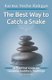 The Best Way to Catch a Snake - A Practical Guide To Gautama Buddha's Teachings (Paperback): Karma Yeshe Rabgye
