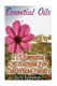 Essential Oils - 215 Essential Oil Recipes For The Whole Family (Paperback): Lily Lorance