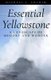 Essential Yellowstone - A Landscape of Memory and Wonder (Paperback): Michael Yochim