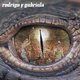 Various Artists - Rodrigo Y Gabriela (Vinyl record): Rodrigo Y Gabriela, John Leckie, Jimmy Page, Robert Plant, Roby Lakatos