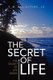 The Secret of Life (Hardcover): T M Ballantyne