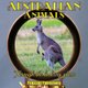 Australian Animals - Through The Looking Glass (Paperback): Tracy P Rockwell