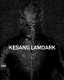Kesang Lamdark (Hardcover): Kenny Schachter