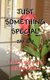 Just Something Special (Paperback): Jay Kay