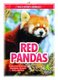 Wild About Animals: Red Pandas (Paperback): Martha London