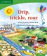 Drip, Trickle, Roar! (English) (Paperback, Student edition): Kerry Saadien-Raad