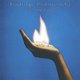 Allen Toussaint / Marshall Selhorn - Ice On Fire (Vinyl record): Allen Toussaint, Marshall Selhorn