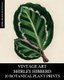 Vintage Art - Shirley Hibberd 20 Botanical Plant Prints (Paperback): Vintage Revisited Press