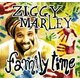 Various Artists - Family Time (CD): Various Artists, Don Was, Ziggy Marley