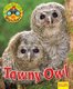 Wildlife Watchers: Tawny Owl 2017 (Paperback): Ruth Owen