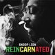 Various Producers - Reincarnated (CD): Various Producers, Various Artists