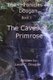 Chronicles of Doogan - Caves of Primrose (Paperback): Louis C. Douglas