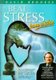 Beat Stress from within - How to Remove Stress from Your Life (Audio cassette): David Brookes