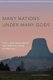 Many Nations under Many Gods - Public Land Management and American Indian Sacred Sites (Hardcover): Todd Allin Morman