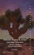 Holocaust Impiety in Jewish American Literature - Memory, Identity, (Post-)Postmodernism (Hardcover): Joost Krijnen