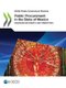 Public procurement in the state of Mexico - enhancing efficiency and competition (Paperback): Organisation for Economic...