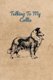 Talking To My Collie (Paperback): Peter Charles Bennett