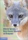 Molecular Approaches in Natural Resource Conservation and Management (Paperback): J. Andrew DeWoody, John W. Bickham, Charles...