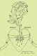 Abstract Rhythms of the Heart (Paperback): The Abstract Poet Kathryn C. Clay