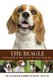 The Beagle (Paperback): Gordon Roberts