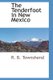 The Tenderfoot in New Mexico (Paperback): R.B. Townshend
