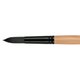 Princeton Catalyst Polytip Bristle Brush - Round (Size 10): 