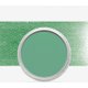 PanPastel Artist's Pastels - Ultra Soft (Permanent Green - Tint 5): 