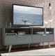 Petrova TV Stand: 