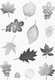 Clear Reusable Stamps - Autumn Leaves: 