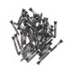 iPhone 16 Pro / 16 Pro Max 100pcs Charging Port Screws(Black): 