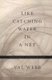 Like Catching Water in a Net - Human Attempts to Describe the Divine (Paperback): Val Webb