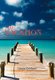 The Vacation (Hardcover): Gaspar DeMarco