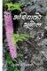 Bhariya ko Bhoogol (Paperback): Dinesh Adhikari