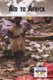 Aid to Africa (Paperback): Debra A Miller