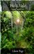Holy Vale (Paperback): Edwin Page