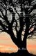 After The Storm Is Over (Hardcover): Roberta M. Heck