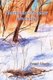 Hartman - Koester Ancestry (Paperback): Frank Oberle
