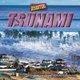 Tsunami (Paperback): Joyce Markovics