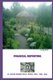 Financial Reporting - Reporting (Paperback): David Ackah