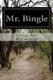 Mr. Bingle (Paperback): George Barr McCutcheon
