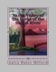 In the Valley of the Forks of the Saline River (Paperback): Anita Haley Millard