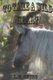 To Tame a Wild Heart (Paperback): L. B. Shire