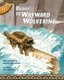 Buddy, the Wayward Wolverine (Paperback): Mary a Livingston, Amanda Shufelberger